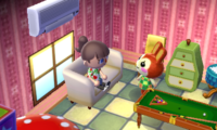 Animal Crossing 3DS