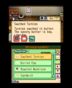 Harvest Moon The Tale of Two Towns