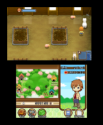 Harvest Moon The Tale of Two Towns