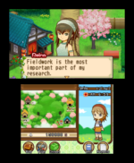 Harvest Moon The Tale of Two Towns