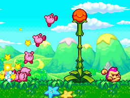 Kirby DS