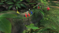 Pikmin 3