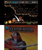 3D Shinobi III