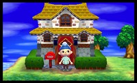 Animal Crossing New Leaf