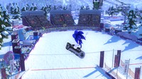 Mario and Sonic at the Sochi 2014 Olympic Winter Games