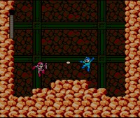 Megaman III