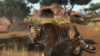 Zoo Tycoon