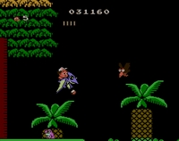 Adventure Island II