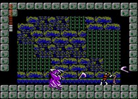 Castlevania II