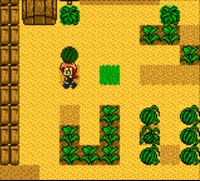 Harvest Moon 2