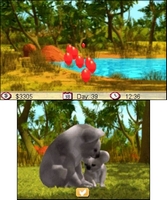 Outback Pet Rescue 3D