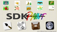 SDK Paint