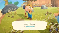 Animal Crossing New Horizons