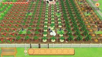 STORY OF SEASONS Pioneers of Olive Town